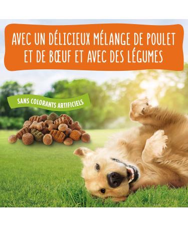 Friskies Complete food for adult dogs Green and Blue 10 kg (Pack of 1) - Buy Online on GoSupps.com