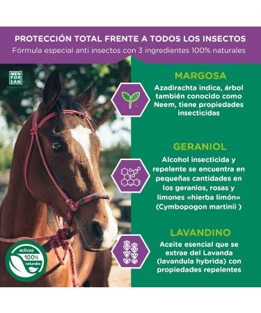 MENFORSAN Flea Shampoo for Horses 5L with Margosa Geraniol and Lavandin Protects Against All Insects - Buy Online on GoSupps.com