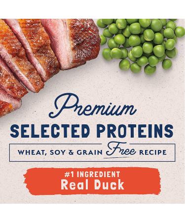 Natural Balance Limited Ingredient Diet | Grain-Free Dry Cat Food - Duck, Chicken, Salmon, Venison | Green Pea & Duck Recipe - 10 lb - Buy Online on GoSupps.com