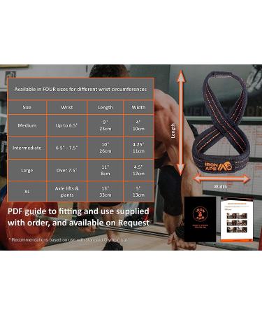 IRON APE Figure 8 Straps for Deadlift & Weightlifting | Heavy Duty Cotton | 4 Sizes Medium - Buy Online on GoSupps.com