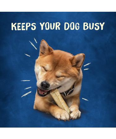 Purina Busy Real Beefhide Dog Chews Rollhide 9 ct. Pouch - Long Lasting Dog Treats - Buy Online on GoSupps.com
