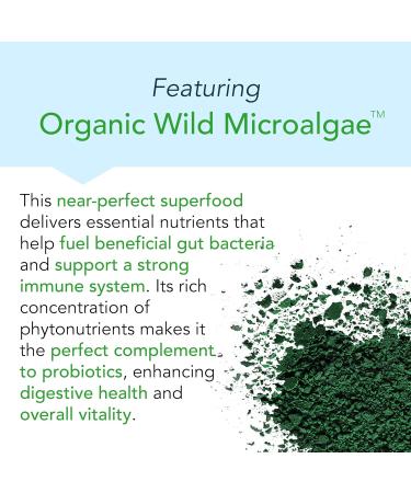 New Earth Bifidus - Probiotic for Large Instestine 30 ct - Bifidobacterium Bifidum & Prebiotic for Lower GI Support Gut Health & Regularity - Buy Online on GoSupps.com