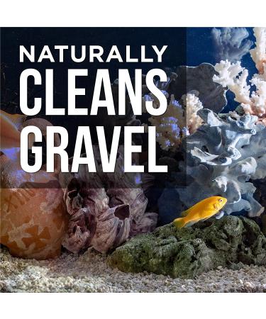 Natural Rapport Aquarium Gravel Cleaner - Professional Cleaner for Healthier Tanks (16 fl oz) - Buy Online on GoSupps.com