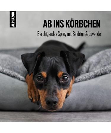 Alphazoo Soul Rest Basket Spray 500ml - Natural Relaxation & Anti-Stress Spray for Dogs | Calm and Well-being Solution - Buy Online on GoSupps.com