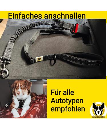 Adjustable Car Dog Leash with Seat Belt for All Breeds - 115-155 cm Reflective Grip Pad & Jerk Dampers - Ideal for Dog Lovers - Buy Online on GoSupps.com
