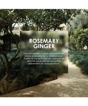 Jean & Len Bath Elixir Rosemary & Ginger aux huiles naturelles laisse une sensation agr able sur la peau parfum herbac huile de bain pour tous types de peau sans parab nes ni silicones 100 ml Rosemary & Ginger 100 ml (Lot de 1) - Buy Online on GoSupps.com