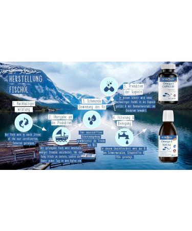 Norsan Premium Total Omega 3 Capsules - High-Dose 1500mg Omega 3 - Sustainable Fish Oil - 6-Pack (720 Capsules) for Optimal EPA & DHA Support - Buy Online on GoSupps.com