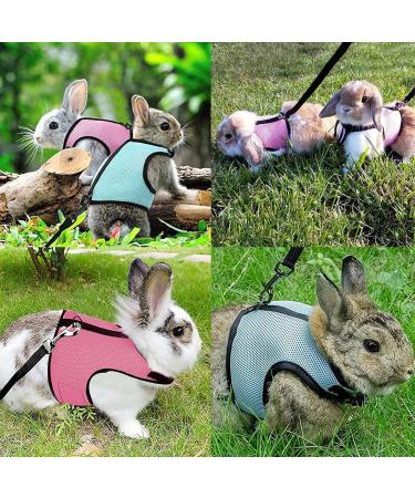 Adjustable Rabbit Dishes & Leash Set for Small Animals 2 Pieces in Blue & Pink | Perfect for Rabbits Hares Hamsters & Cats | Outdoor Use - Buy Online on GoSupps.com