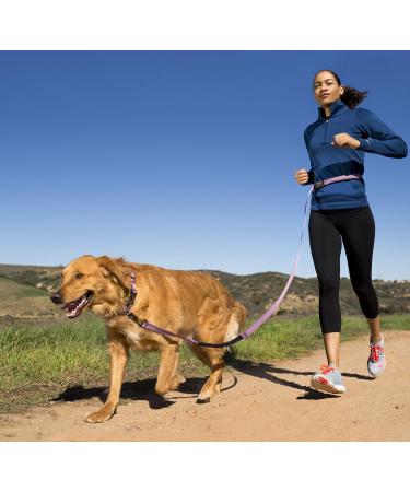 Halti Active Dog Leash with Neoprene Padding & Shock Absorption - 3m Reflector Freehand Design for Small to Medium Dogs - Ideal Running Leash (Size Small Black) - Buy Online on GoSupps.com