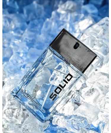 Sapil Solid Perfume for Men - Long Lasting Dubai Perfume with Citrus Spicy and Musk Notes - 3.4 Oz (100 ml) Arabic Cologne for Everyday Use. - Buy Online on GoSupps.com