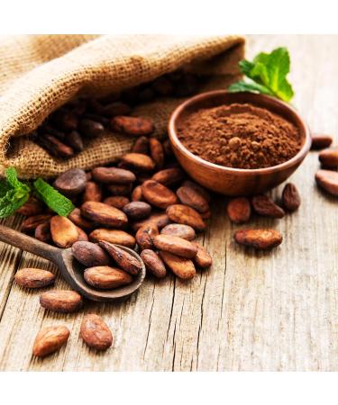 Yupik Organic Raw Cacao Beans 1Kg - Buy Online on GoSupps.com