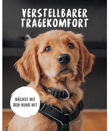 Rudelknig Paola Adjustable Reflective Dog Collar for Small Dogs - Nylon Black (30-35cm) - Buy Online on GoSupps.com