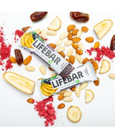 Buy Lifefood Lifebar Energy Seal - Vegan Gluten-Free & Organic Raw Sports Bars (Acai Banana) - 15 Pack | No Added Sugar - Buy Online on GoSupps.com
