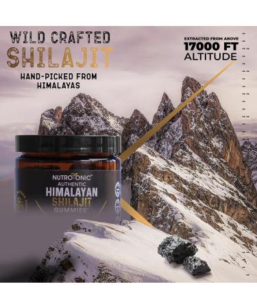 Organic SHILAJIT Gummies by NutroTonic | Shilajit for Men & Women | Cane Sugar Free Sweetened by Organic Manuka Honey | Clean Formula | Natural Fulvic & Humic Acid | 30 Healthy Gummies (3) Blood Orange 30 Count (Pack of 3) - Buy Online on GoSupps.com