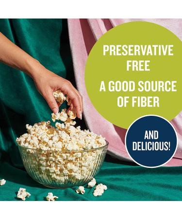 SkinnyPop Popcorn  Gluten Free  Non-GMO  Healthy Snacks  Easter Snacks  Skinny Pop Dairy Free White Cheddar Popcorn Snack Packs  0.65 Oz Individual Size Snack Bags (6 Count) 6 Count (Pack of 1) - Buy Online on GoSupps.com