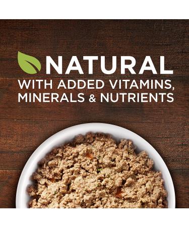 Purina ONE SmartBlend Natural Lamb & Rice Puppy Wet Food - 12 Pack (13 oz. Cans) - Buy Online on GoSupps.com