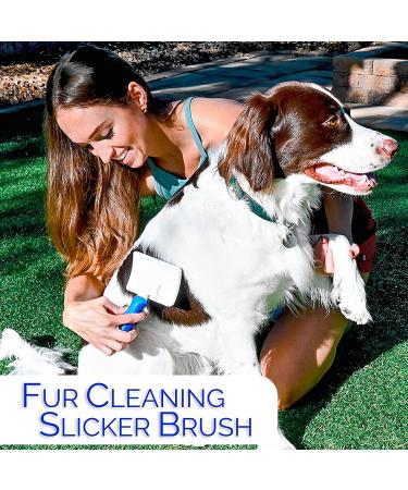 Horicon Pet 6 In 1 Dog Brush Set - Premium Grooming Brushes with Ball Pin, Bristle, Dematting, Slicker, Deshedding, and Detangling Combs - Buy Online on GoSupps.com