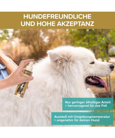 Premium Tick Spray for Dogs - 250ml | Natural & Effective Protection Against Ticks | Made in Germany - Buy Online on GoSupps.com