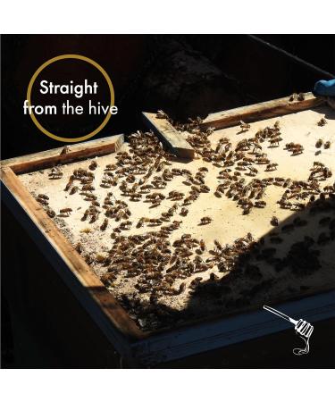 Scottish Heather Honeycomb 200g - Raw & Natural from The Scottish Bee Company - Buy Online on GoSupps.com