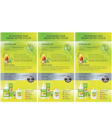 Garnier Nutrisse Ultra Coverage Hair Color 200 Deep Soft Black - 3 Count Pack - Buy Online on GoSupps.com