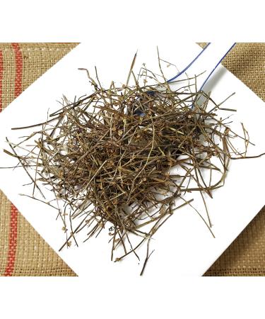 TCM Herbs USA Ban Zhi Lian / Scutellariae Barbatae Herba / Bearded Scutellaria / Barbat Skullcap (16 oz) 16 Ounce