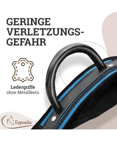 Esposita Riding Strap with Leather Handles | Child & Rider Safety | Versatile Lunging & Vaulting Belt | Blue-Black Accessories for Wooden Horses - Buy Online on GoSupps.com