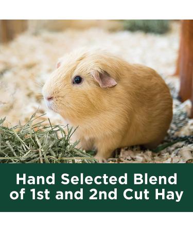 Kaytee Natural Timothy Hay High Fibre Food 1.4 kg Hay 1.4 kg (Pack of 1) - Buy Online on GoSupps.com