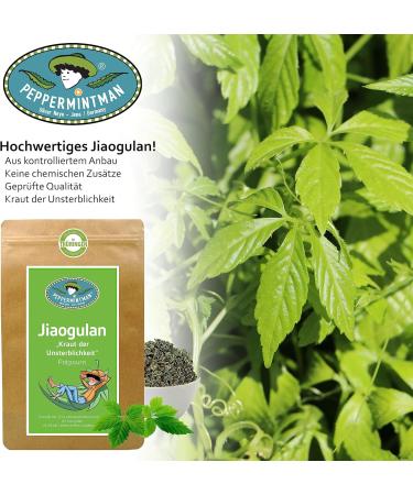 PEPPERMINTMAN Jiaogulan 1kg - Immortality Grass I No Stems Rolled Whole Leaves - Buy Online on GoSupps.com