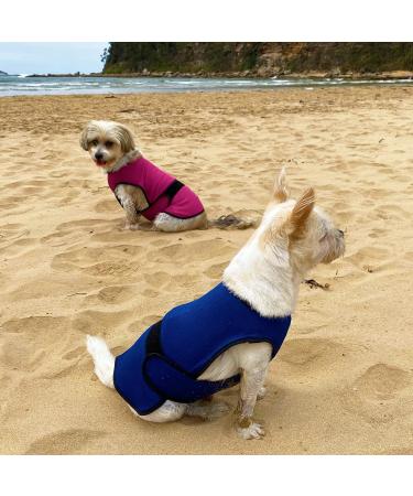 DOGZSTUFF Dog Cooling Vest - Evaporative Cool Technology, UV Protection, Lightweight Jacket for Large Dogs - Dark Blue (Size L) - Buy Online on GoSupps.com