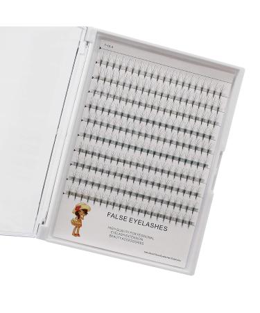 Large Tray of 200pcs D Curl 5D Premade Fan Volume Eyelash Extensions - Phoenix Tail Design Soft & Light Individual False Eyelashes (10-16mm Choice 12mm - Buy Online on GoSupps.com