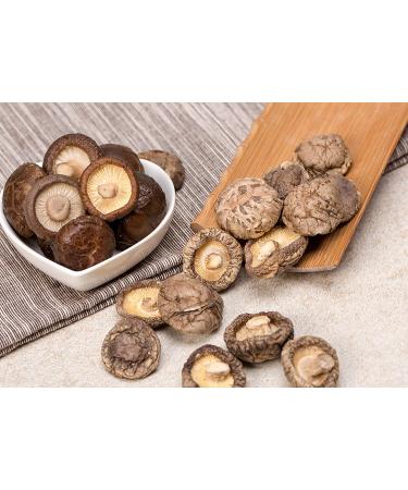 Dried Shiitake Mushrooms 1.5oz - Vigorous Mountains Shitake Mushroom - Buy Online on GoSupps.com