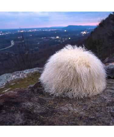 Khabib Nurmagomedov Sheepskin Papakha Hat - Authentic Dagestan Russian Merchandise | Unisex, One Size Fits All - Buy Online on GoSupps.com