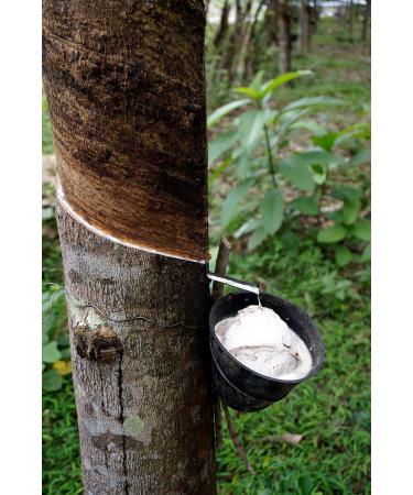 SWEETIE Natural Rubber Pacifier | Rounded Grey | Large 12-18 Month | 1 Count - Buy Online on GoSupps.com