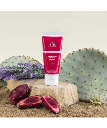 Rejuvenating Facial Cleanser - Natural Face Wash with Prickly Pear & Aloe Vera | Eco Tube 74ml | Women s Botanical Skincare - Buy Online on GoSupps.com