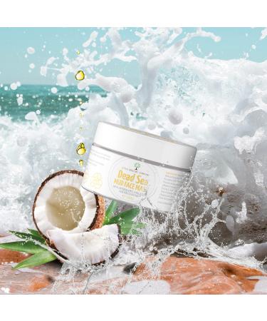 Clear Skin Face Mud Mask - Dead Sea Minerals Antioxidants Hyaluronic Acid Vegan Cruelty Free