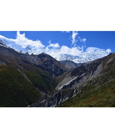 Buy Green Coffee Nepal Mt. Everest Coffee (1000g) - Premium Quality International Shipping - Buy Online on GoSupps.com