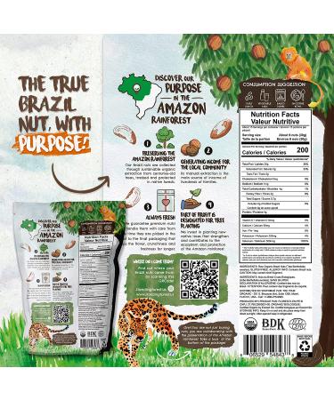 Organic Premium Brazil Nuts (15oz) Raw & Unsalted - Certified Organic, Fresh, Vegan, Gluten Free | Non-GMO, Kosher | Sustainably Harvested - Keto & Paleo Friendly - Pack of 1 - Buy Online on GoSupps.com