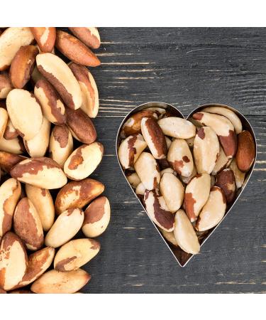 The Amish Eco-Farm Medium Brazil Nuts - Raw & Fresh 5lb Jar - Buy Online on GoSupps.com