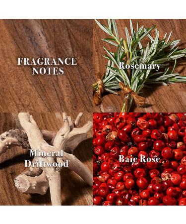 John Varvatos Men's Cologne XX Artisan Teal Eau de Toilette EDT Spray Aquatic Scent with Notes of Rosemary Mineral Driftwood and Baie Rose Gift Set 1.4 Fl Oz (Pack of 3) - Buy Online on GoSupps.com