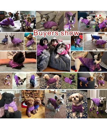CHBORLESS Pet Dog Classic Knitwear Sweater - Warm Winter Coat for Small Dogs (Medium, Purple) - Buy Online on GoSupps.com