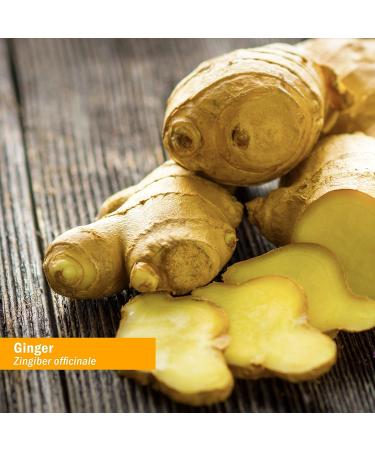 Herb Pharm Organic Ginger Liquid Extract 4oz - Digestive Support Supplement - Buy Online on GoSupps.com