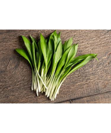  TASTY POTT Tasty Pott Organic Chopped Wild Garlic Leaves | Wild Herbs | For wild garlic pesto herb butter cottage cheese | Spices | Wild garlic leaves in a 1000g bag - Buy Online on GoSupps.com