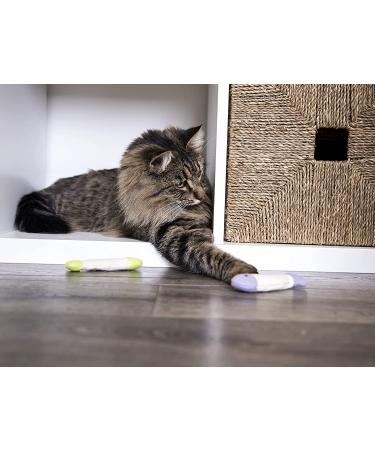 SmartyKat Crinkle Fish Catnip Toys for Cats & Kittens - Stimulating and Fun Play - 9-Set, Multiple Styles - Buy Online on GoSupps.com