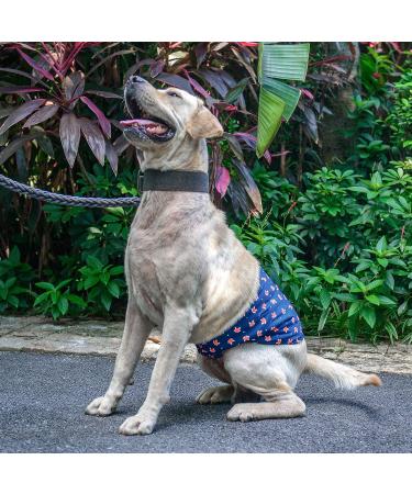 CuteBone Male Dog Belly Wraps - Washable Puppy Diapers (3 Pack) DM02M-DE - Duck Dino & Fox Designs (M: 35.5-43cm) - Buy Online on GoSupps.com