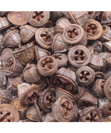 Eucalyptus Seed Pods | 240 grams bag | Approximately 120 pieces | 1.5cm to 3cm