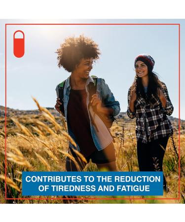 Gentle Iron Tablets 15mg + VIT C | 365 Day Supply | Reduce Tiredness & Fatigue | High Absorption Iron Supplements | Vegan | FuelFinity Quality - Buy Online on GoSupps.com