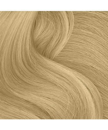 Punky Temporary Hair Highlight Spray Natural Blonde 3.5 oz x 1 Pack 3.5 Ounce (Pack of 1) Natural Blonde - Buy Online on GoSupps.com