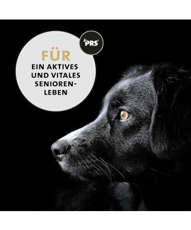 Peticare Senior Active Vital Mix Powder for Senior Dogs | Natural Food Supplement with Green Lipped Mussel MSM Turmeric | Immune Boost & Deficiency Support | petDog Health 2603 (125 g) - Buy Online on GoSupps.com