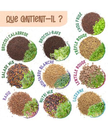 ZenGreens - Organic sprouted seeds in Nutri-Mix Kit - Sprouted seeds - 10 varieties of healthy sprouted seeds - easy to grow in pots or terrines - Microgreens Samen Mix - Pack of 10 - Buy Online on GoSupps.com