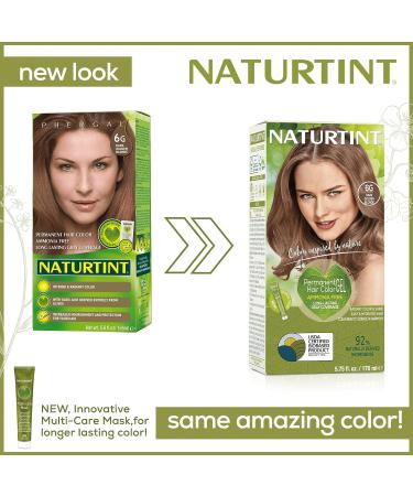 Naturtint 6G Dark Golden Blonde Hair Color - Pack of 6 | Ammonia-Free, Vegan, Cruelty-Free | Up to 100% Gray Coverage | Long-Lasting Results - Buy Online on GoSupps.com